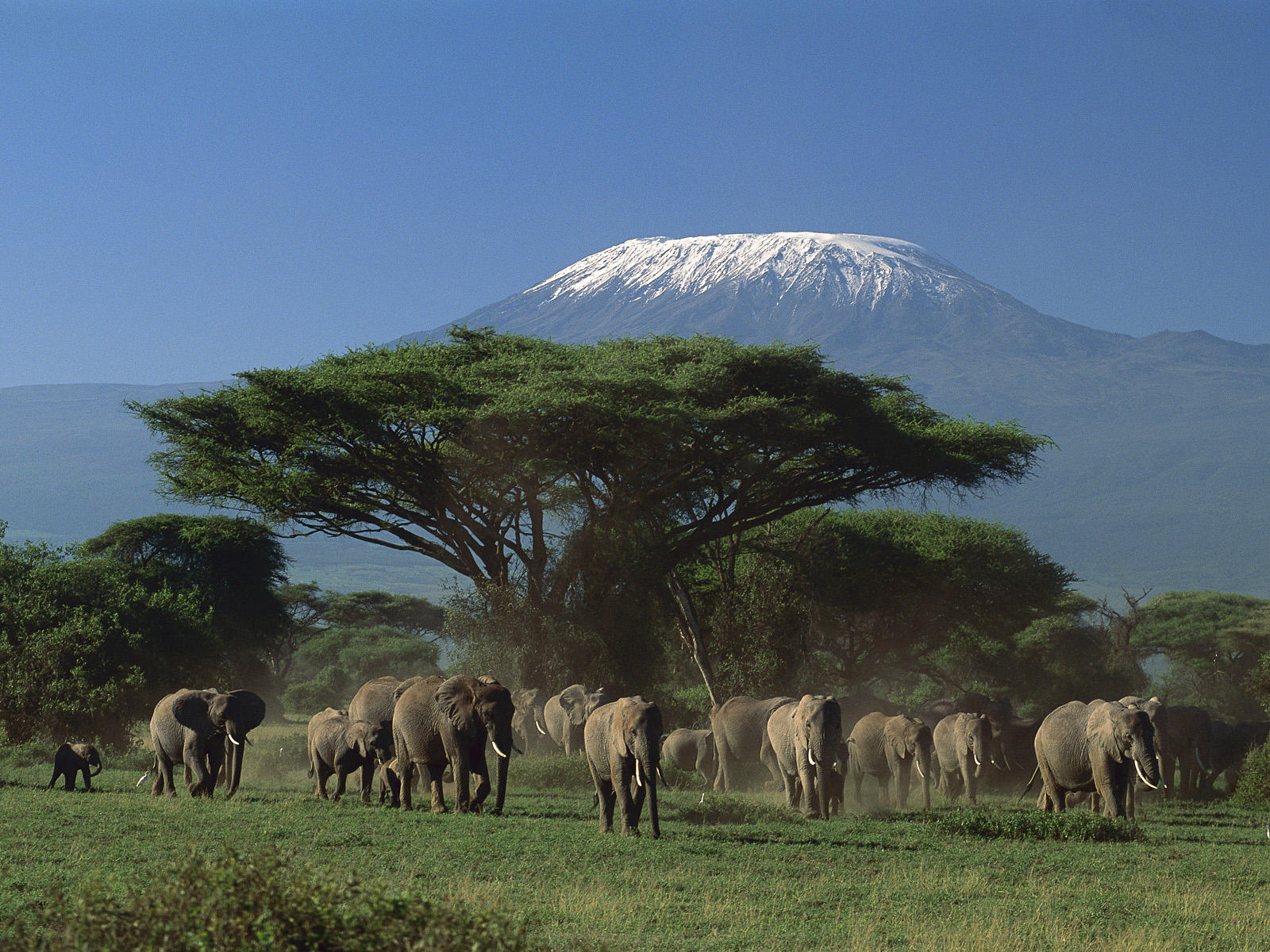 Amboseli National Park (Photo: authenticeastafrica.wordpress.com)